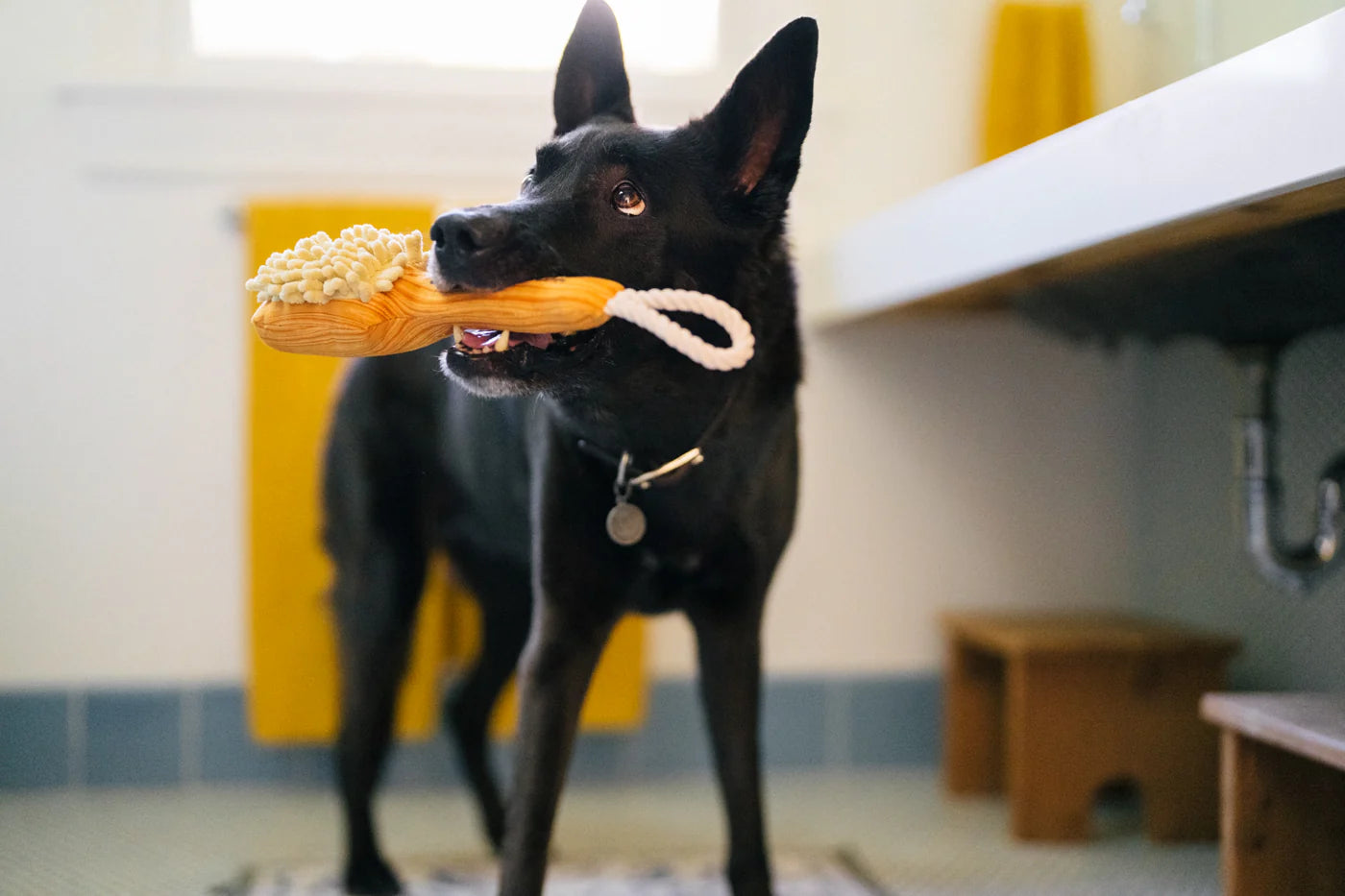 Іграшка Splish Splash Bark n' Bristles