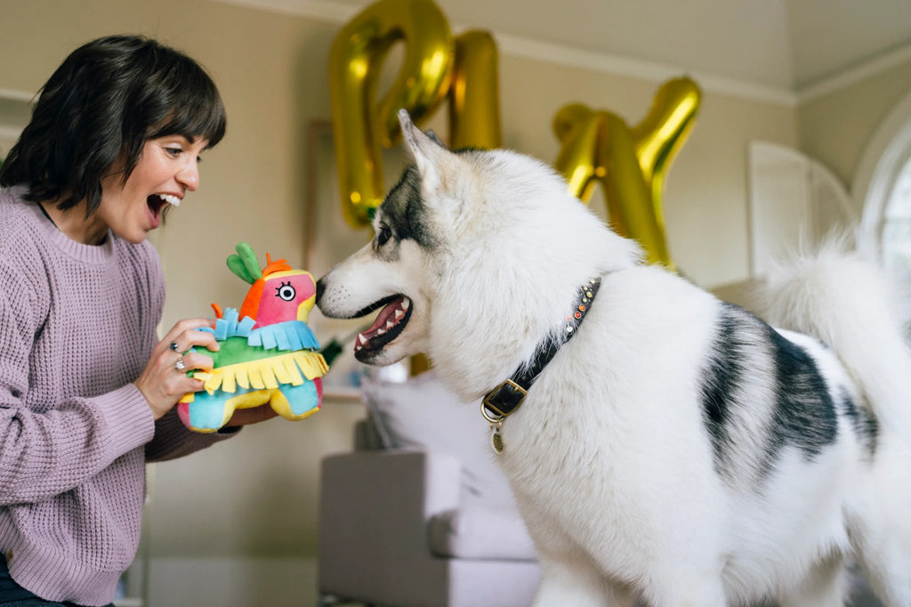 Іграшка Party Animal Fiesta Fetch Pinata