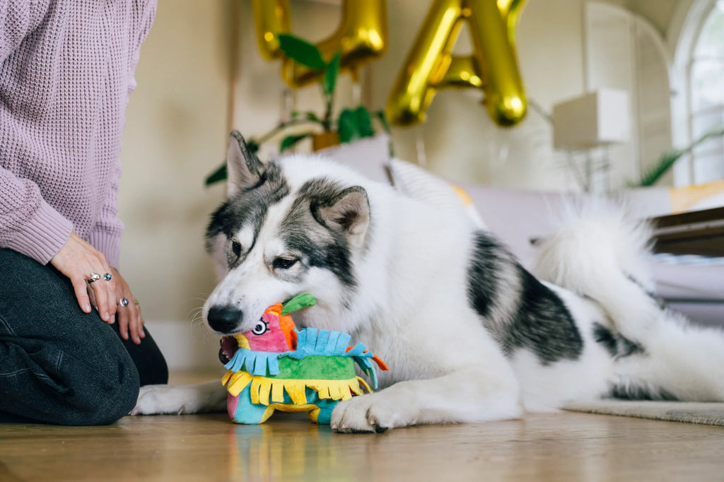 Іграшка Party Animal Fiesta Fetch Pinata