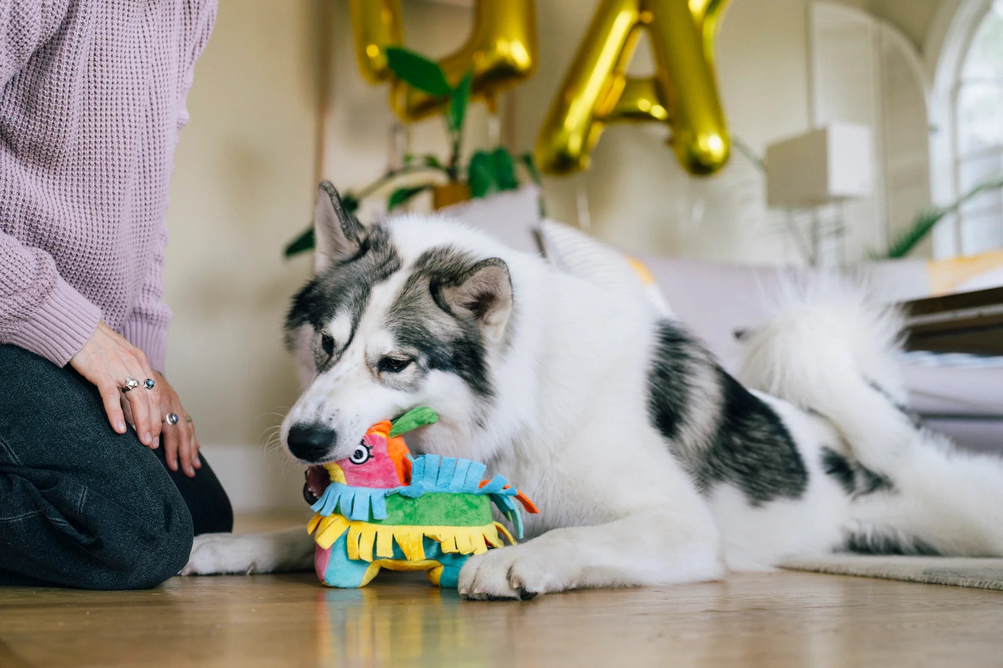 Іграшка Party Animal Fiesta Fetch Pinata