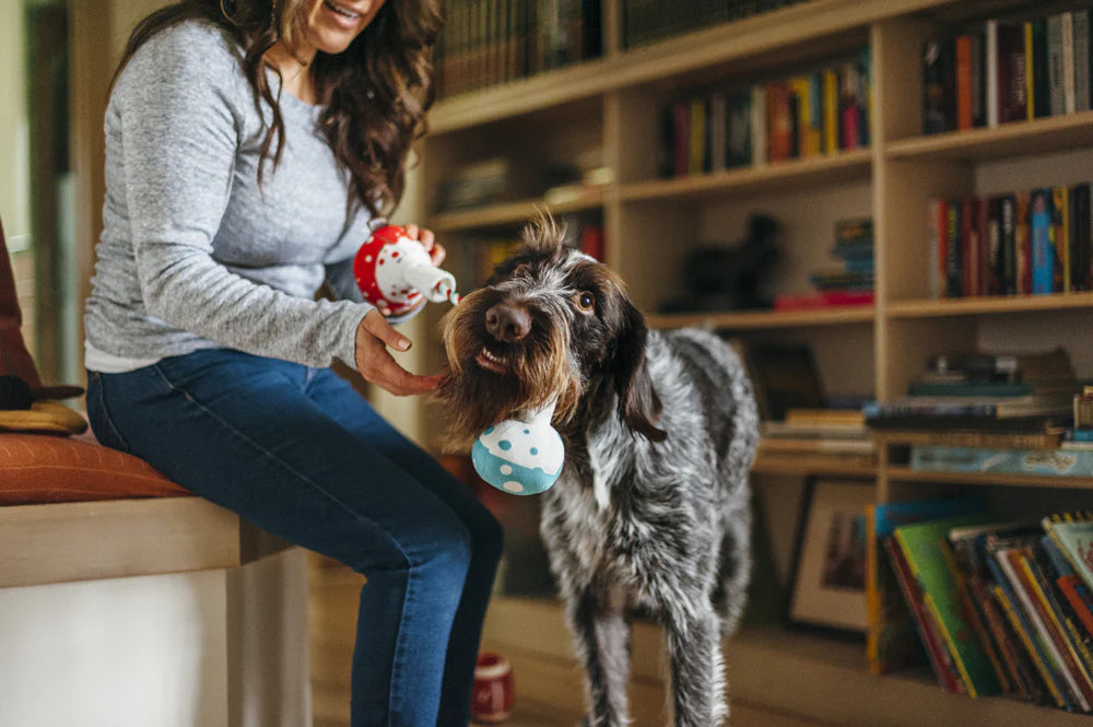 Іграшка Back to School Collection Barking Beakers
