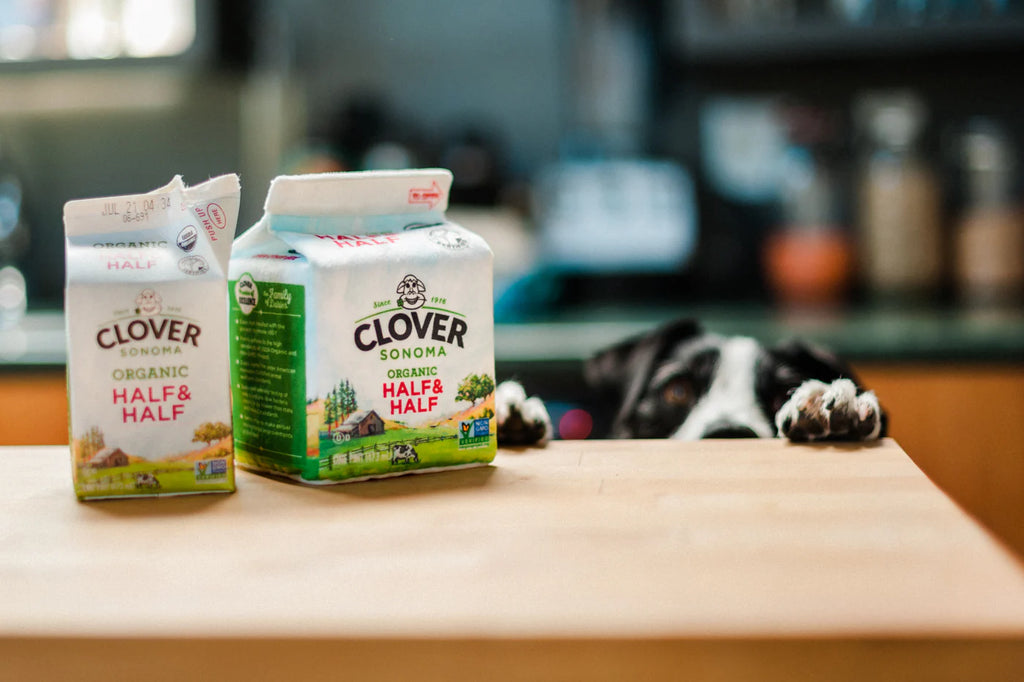 Іграшка Clover Sonoma x P.L.A.Y. Canine Carton Toy