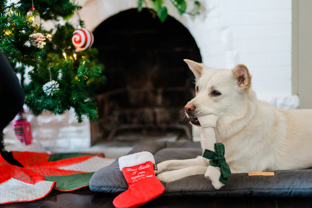 Іграшка Good Dog Stocking Merry Woofmas