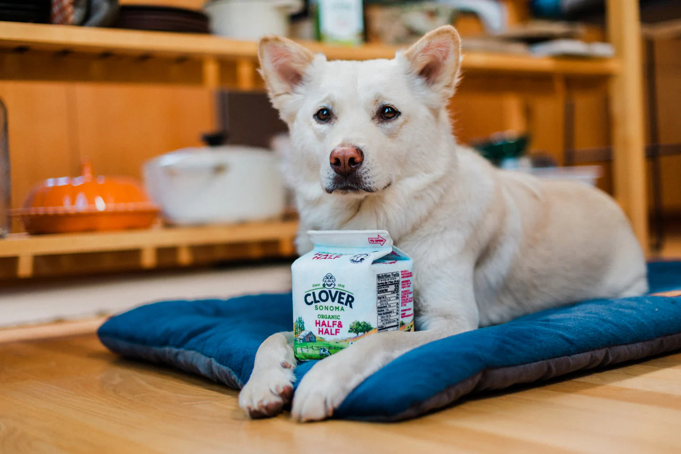 Іграшка Clover Sonoma x P.L.A.Y. Canine Carton Toy