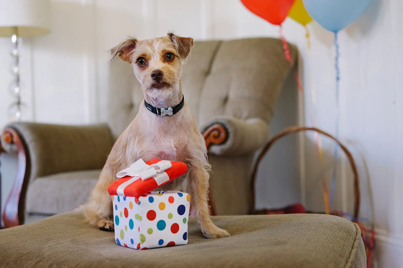 Іграшка  Party Time Pawfect Present