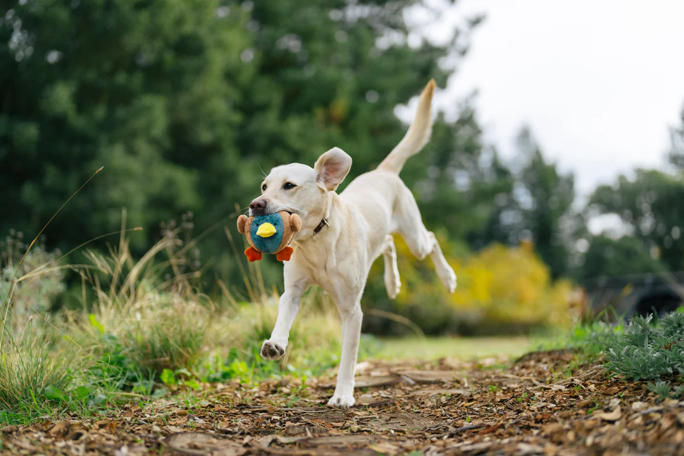 Іграшка Dana the Duck Barnyard Buddies
