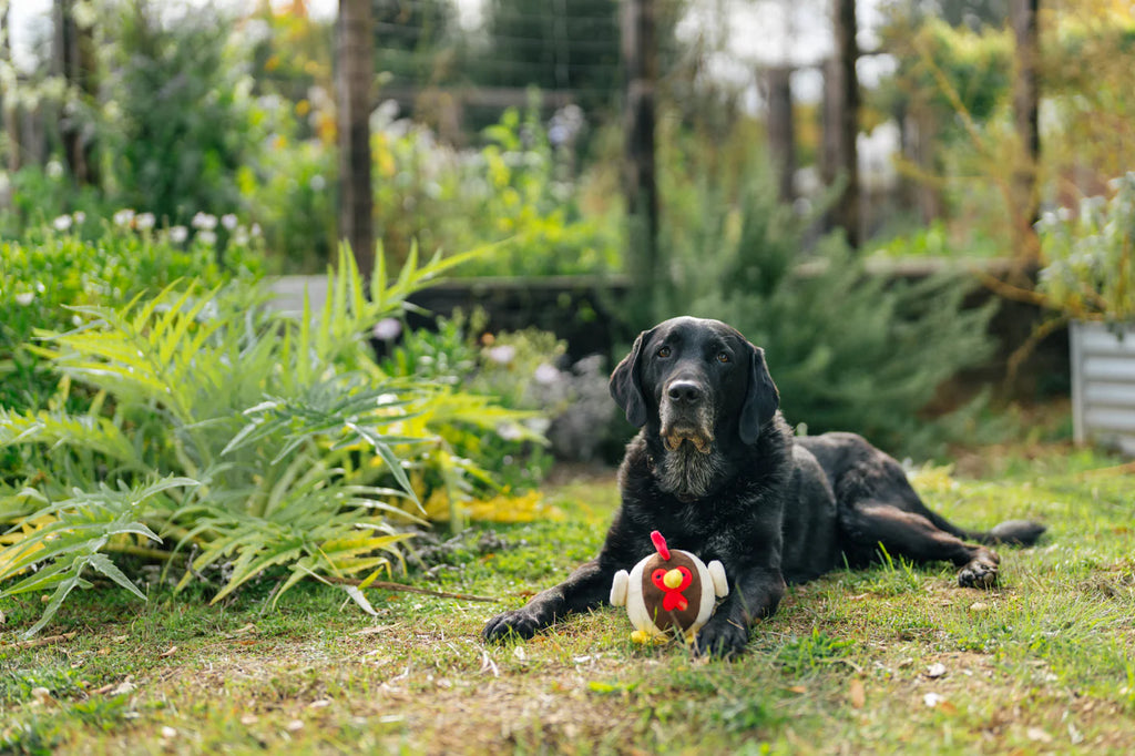 Іграшка Ryan the Rooster Barnyard Buddies