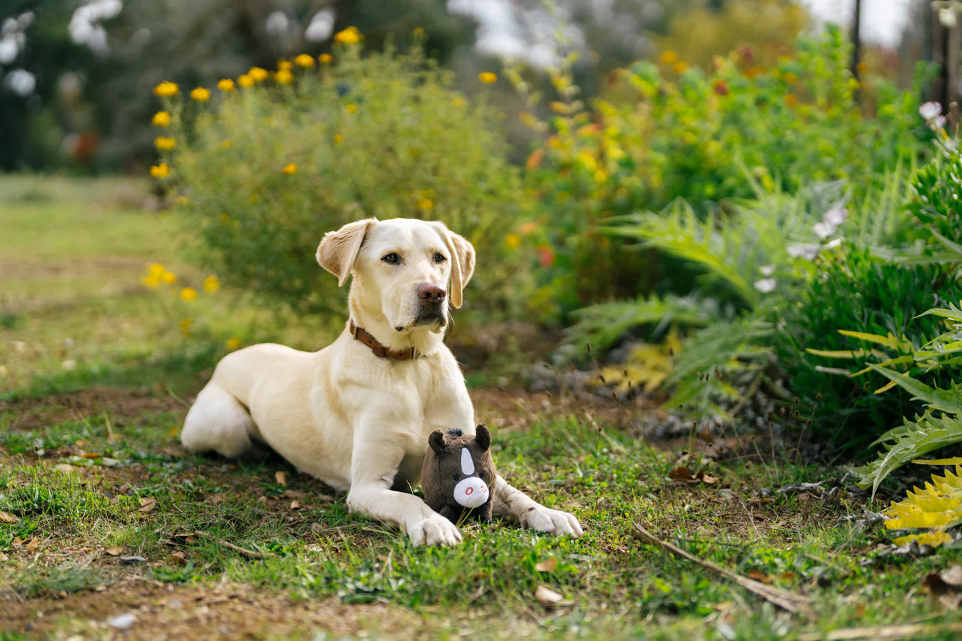 Іграшка Harley the Horse Barnyard Buddies