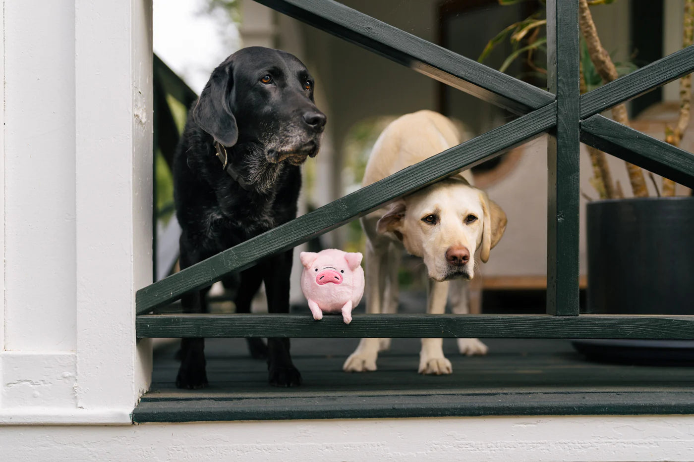 Іграшка Paul the Pig Barnyard Buddies