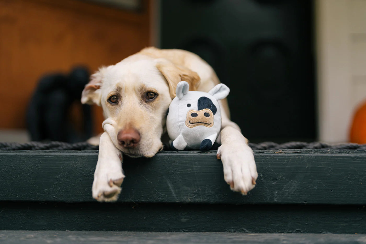 Іграшка Cole the Cow Barnyard Buddies