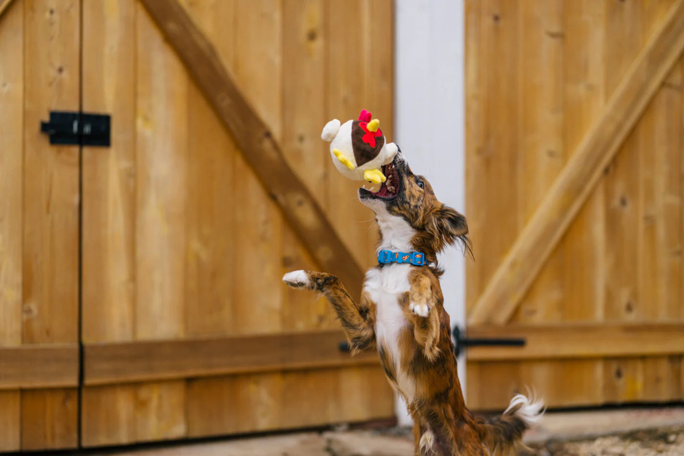 Іграшка Ryan the Rooster Barnyard Buddies