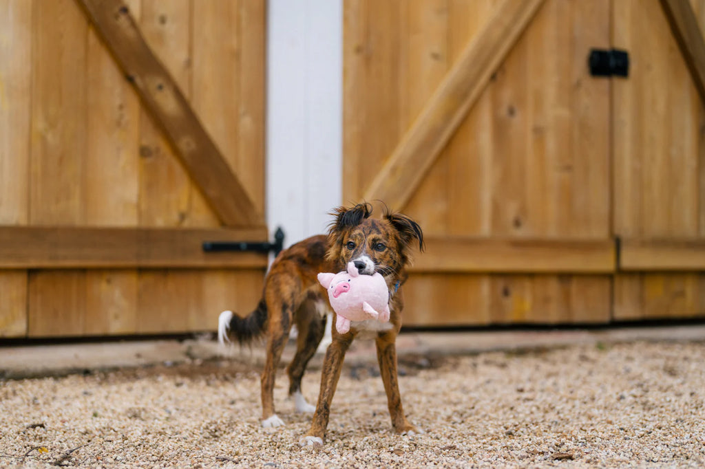 Іграшка Paul the Pig Barnyard Buddies