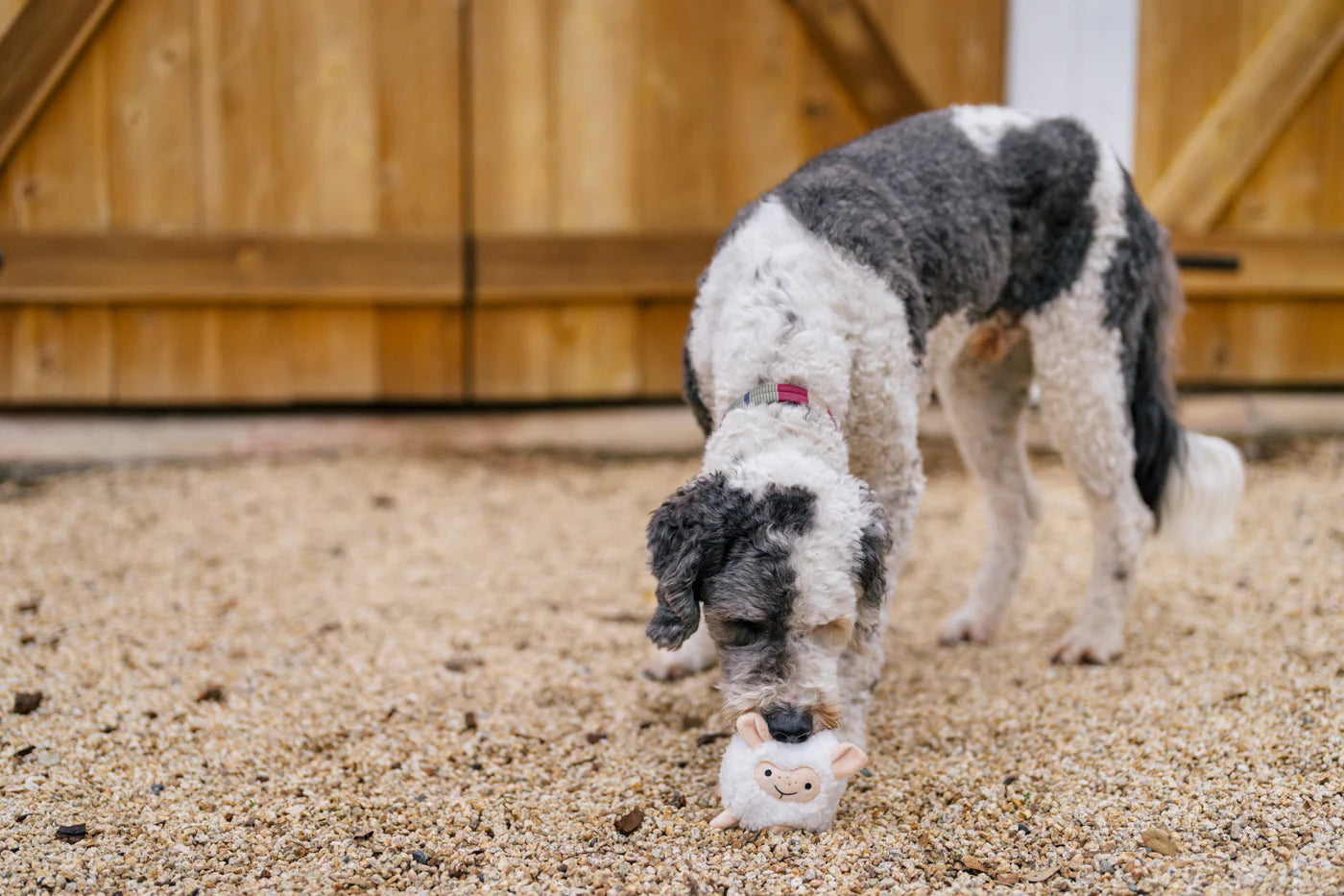 Іграшка Sadie the Sheep Barnyard Buddies