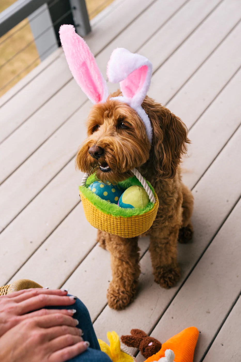 Іграшка Hippity Hoppity Eggs-cellent Basket