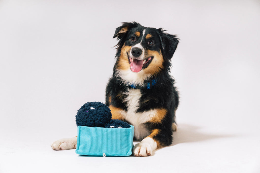 Іграшка Blue Beg-rries Picked Fresh