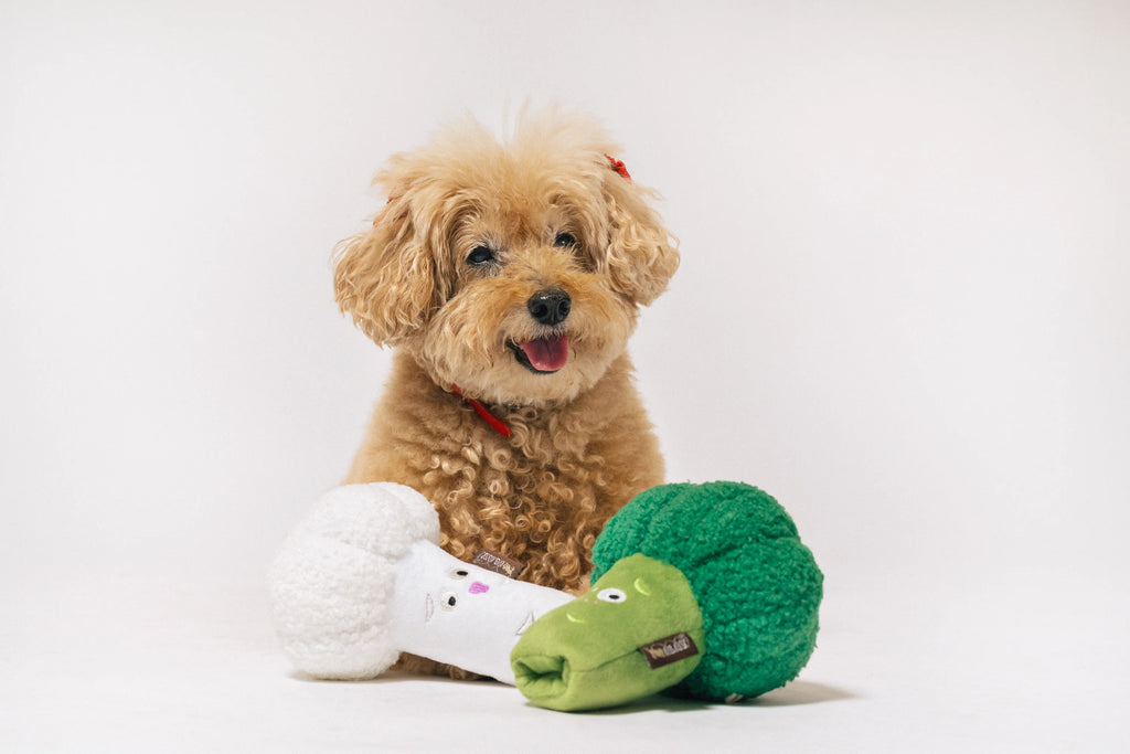 Іграшка Veggie Munch Duo Picked Fresh