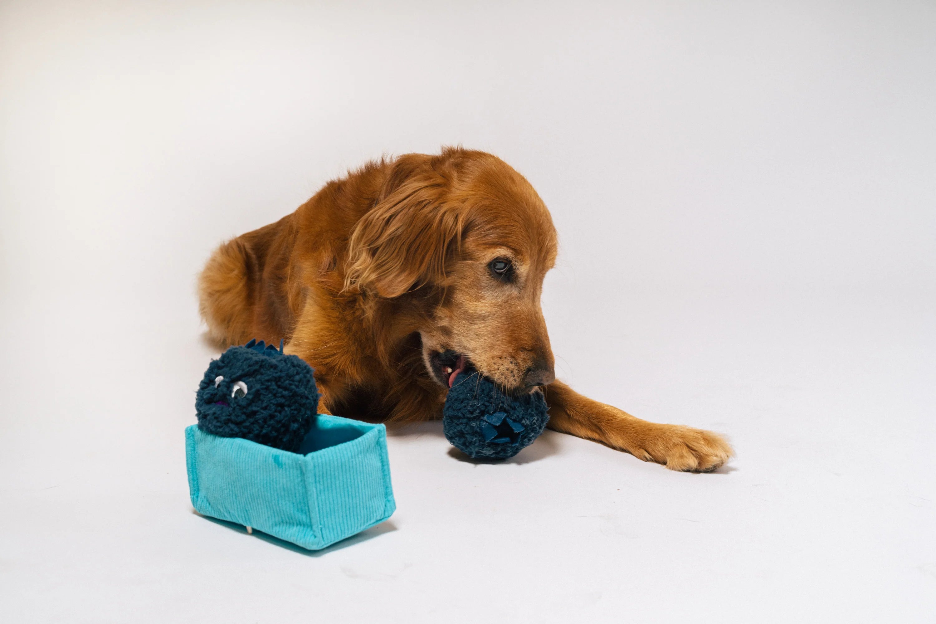 Іграшка Blue Beg-rries Picked Fresh