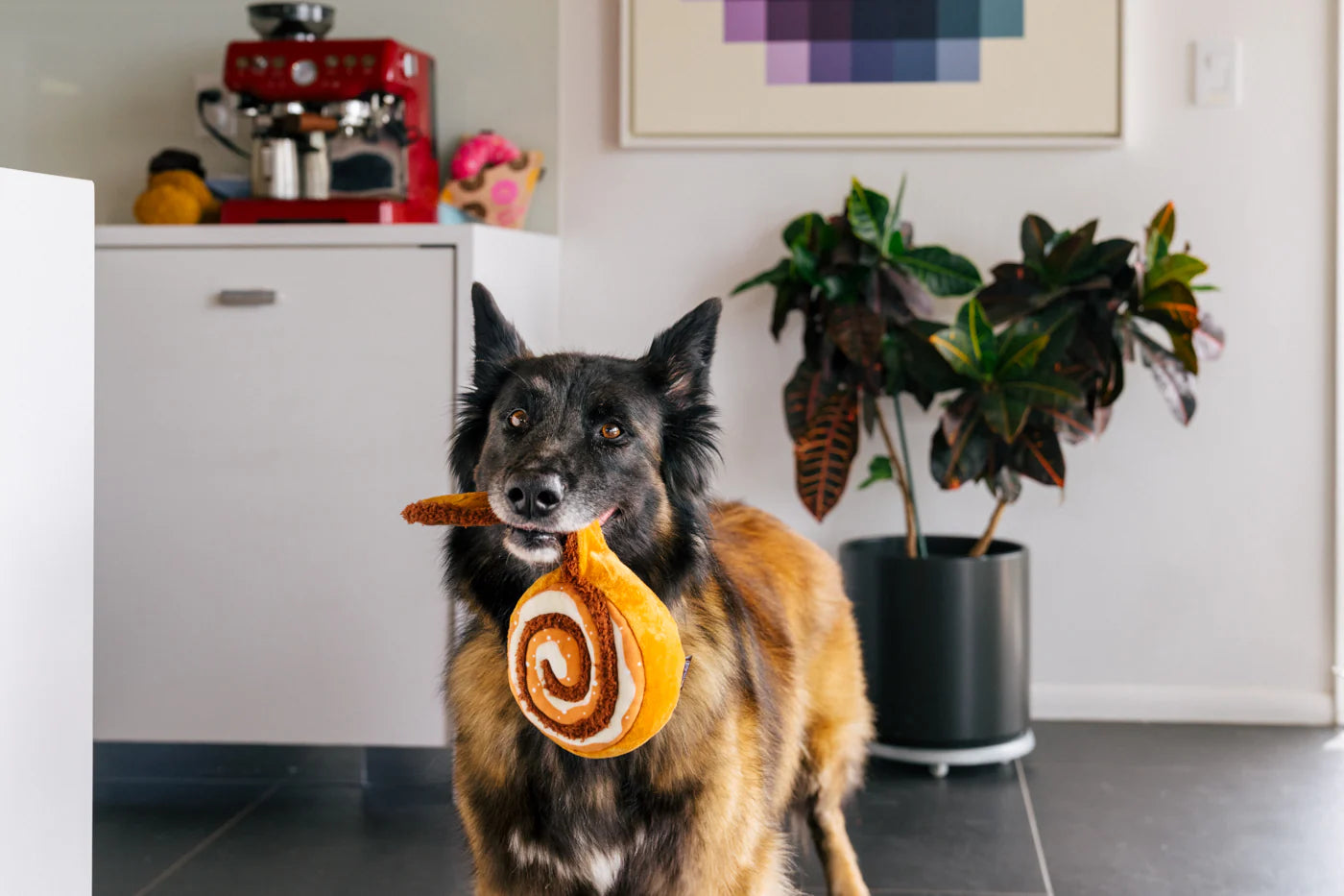 Іграшка Pup Cup Cafe Cinna-bone