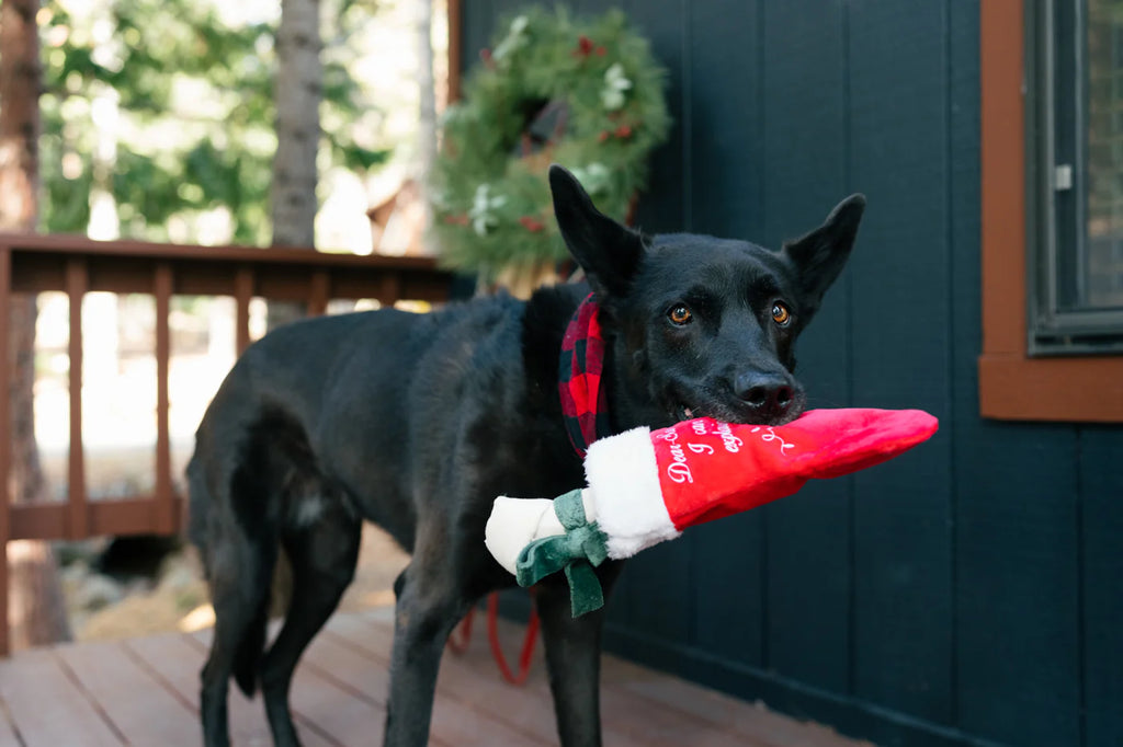 Іграшка Good Dog Stocking Merry Woofmas