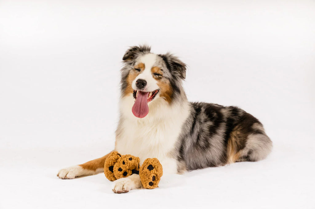 Іграшка Pup Cup Cafe Cookies n’ Treats