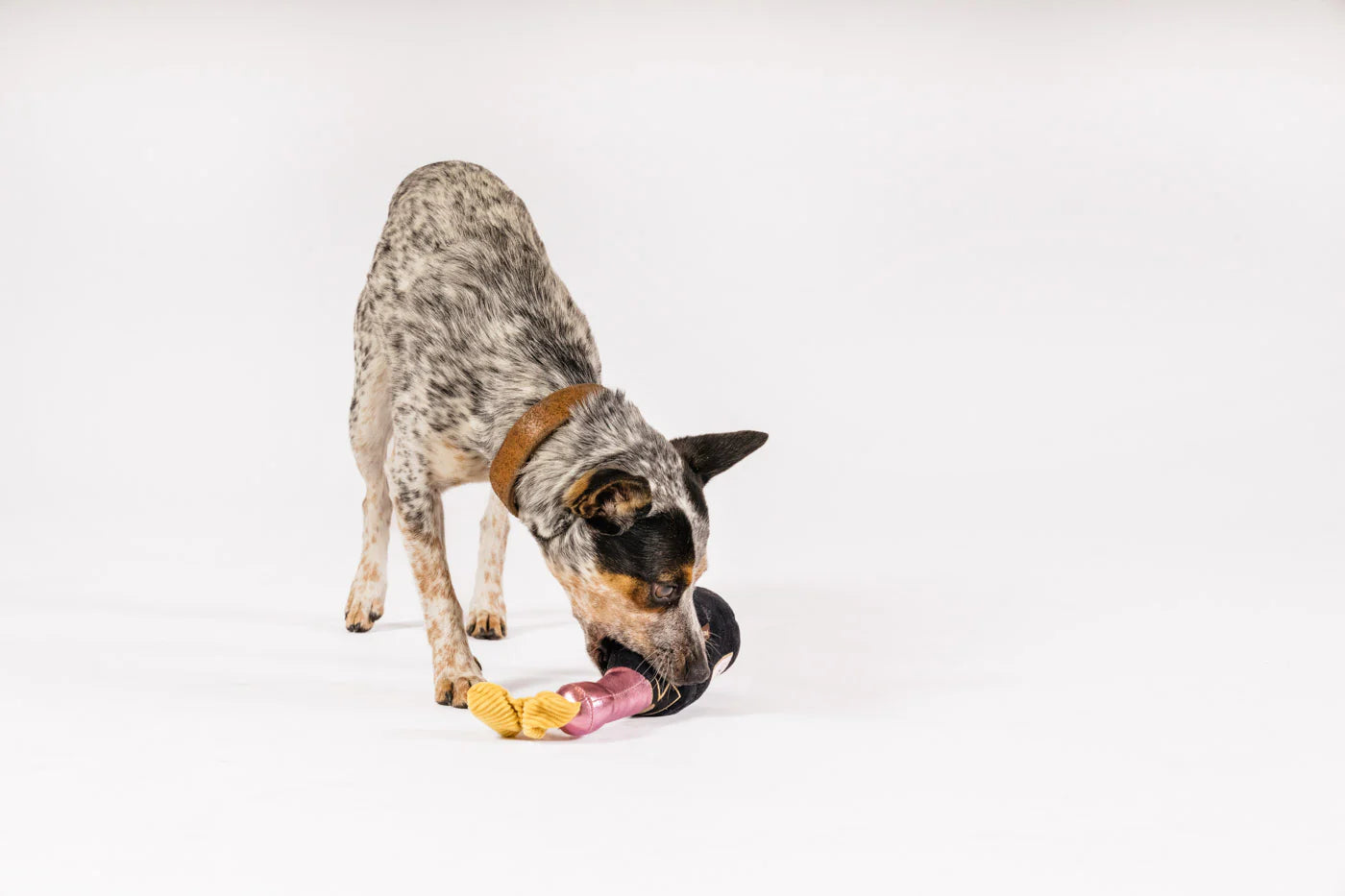 Іграшка Puppin' Champagne