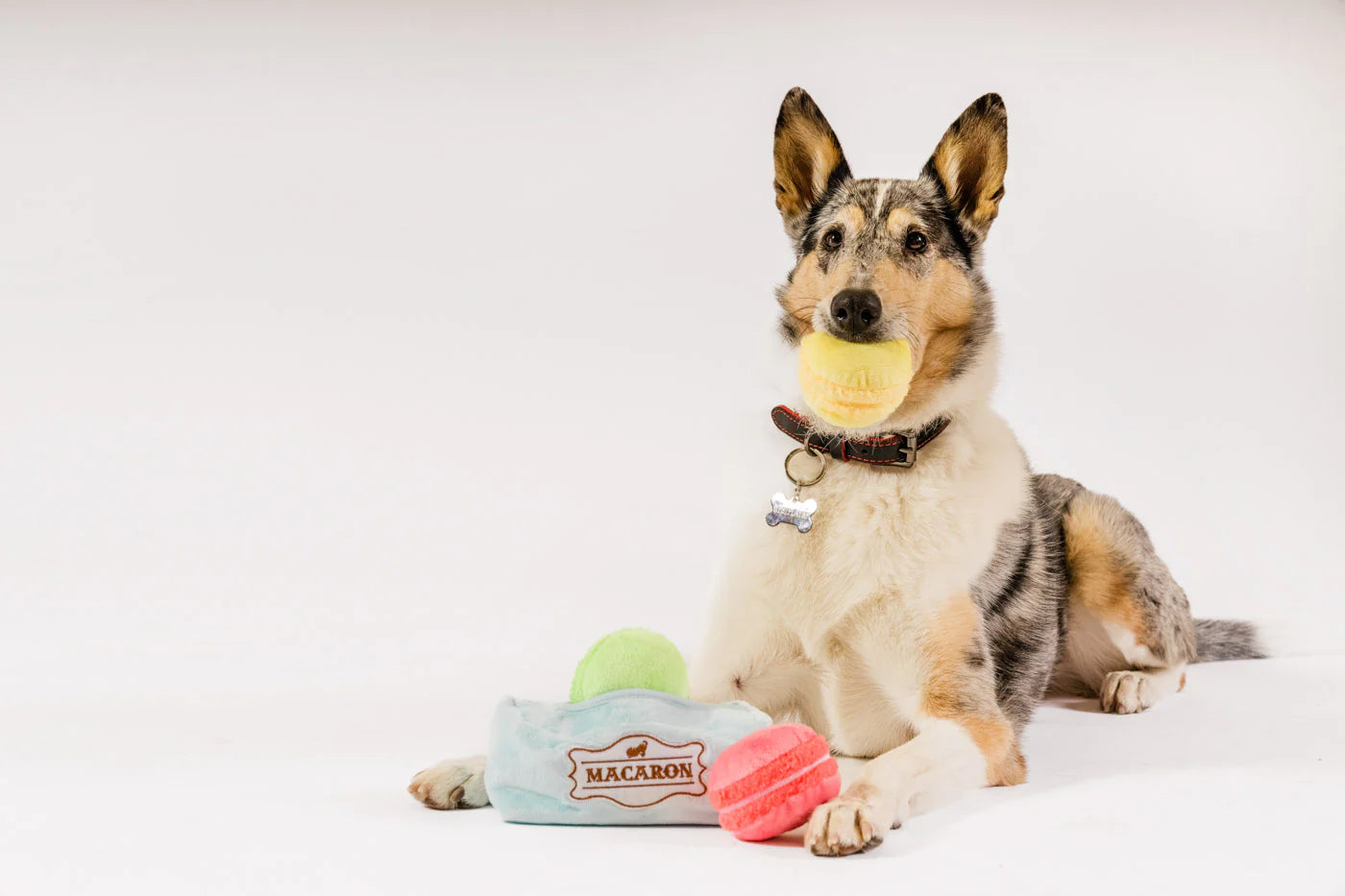 Іграшка Pup Cup Cafe Mutt-a-rons