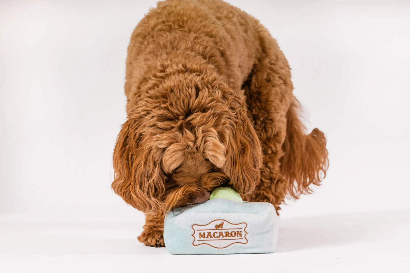 Іграшка Pup Cup Cafe Mutt-a-rons
