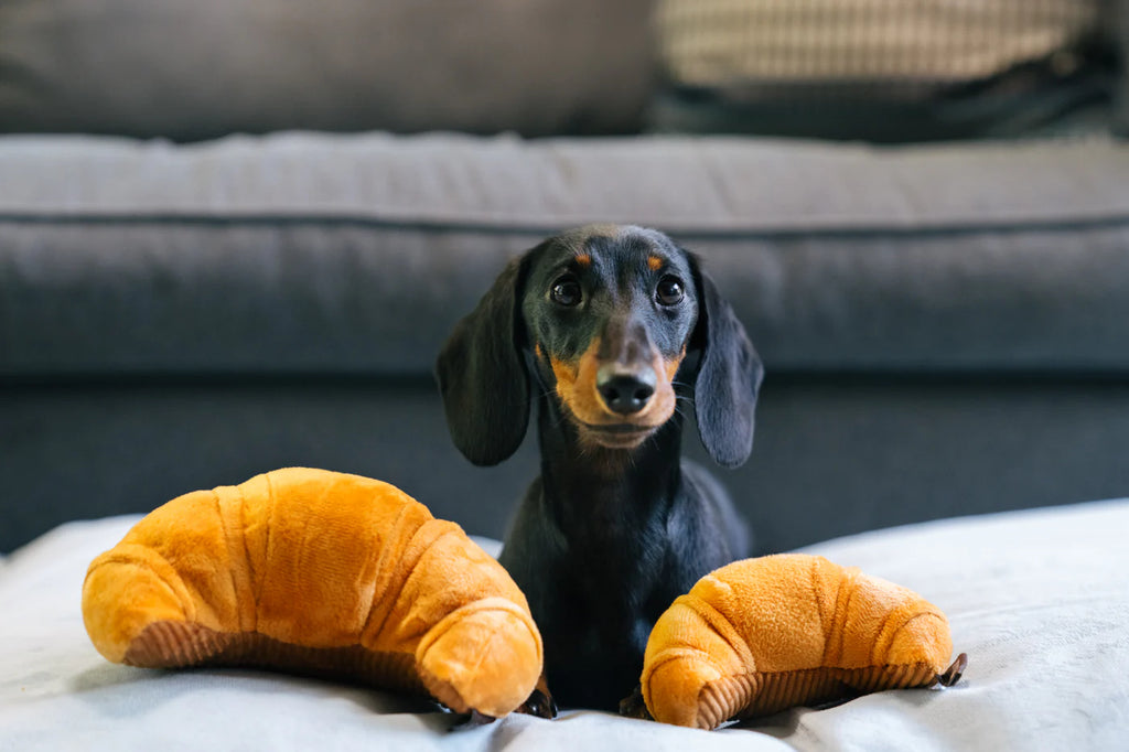 Іграшка Barking Brunch Pup's Pastry