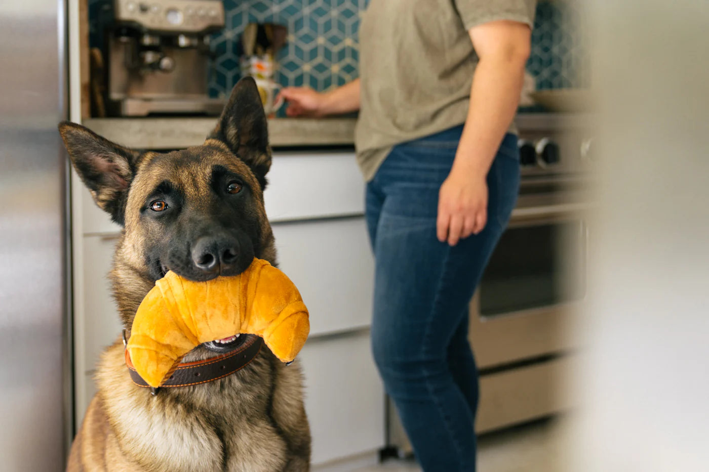 Іграшка Barking Brunch Pup's Pastry