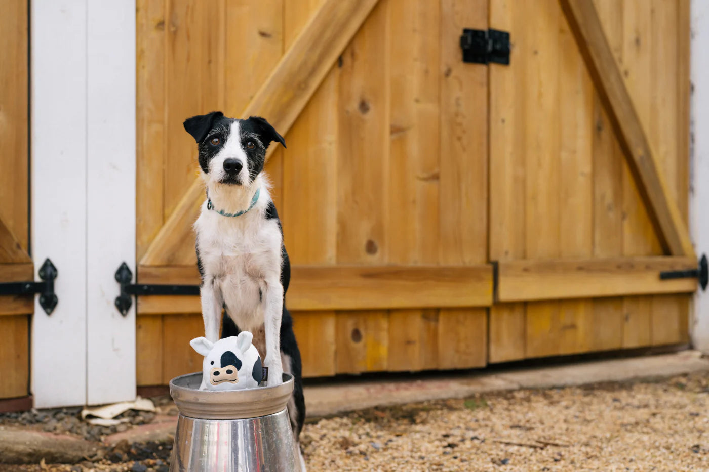 Іграшка Cole the Cow Barnyard Buddies