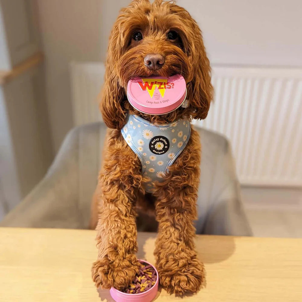 Веганські смаколики в баночках ліхтар та чіпси Lamp Post & Chips W'ZIS