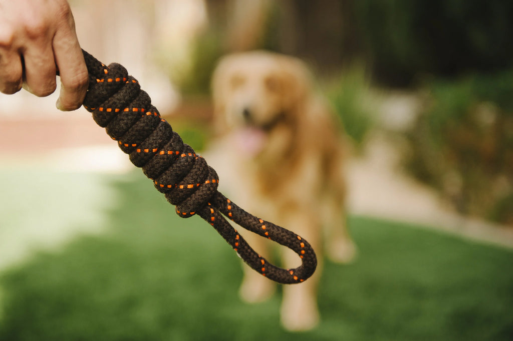 Іграшка Tug Rope Toy