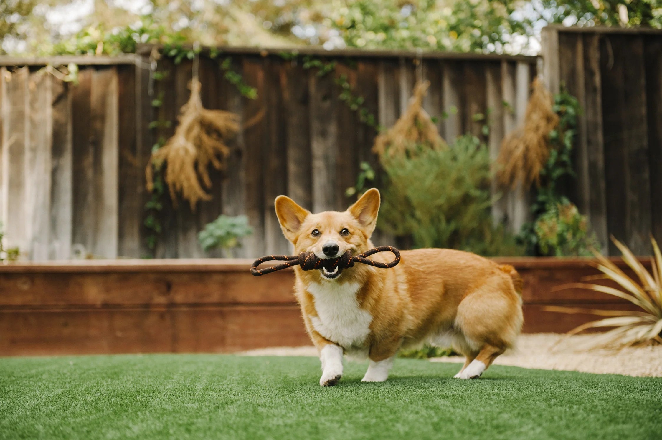 Іграшка Tug Rope Toy