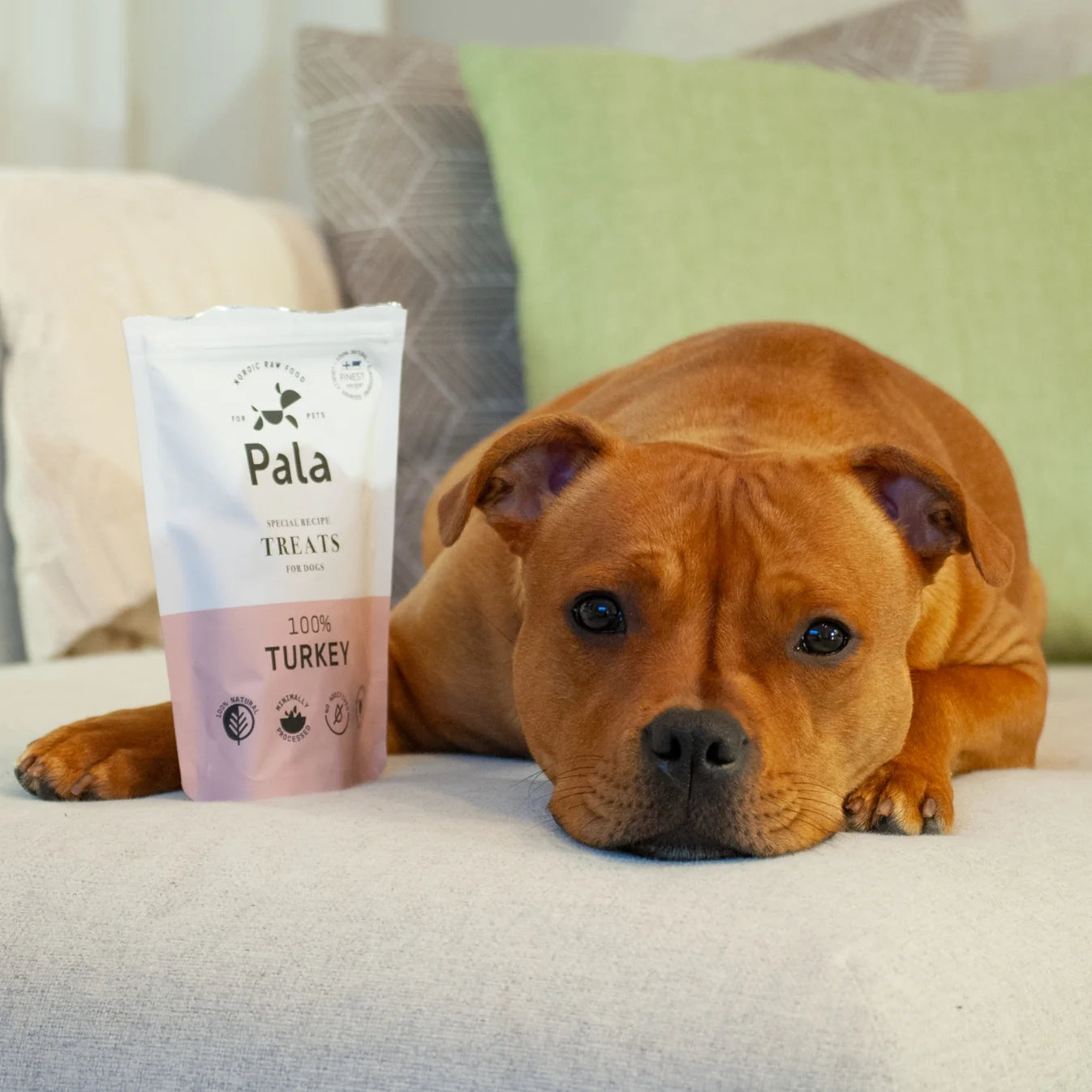 100% індичка Treats Pala 100 г