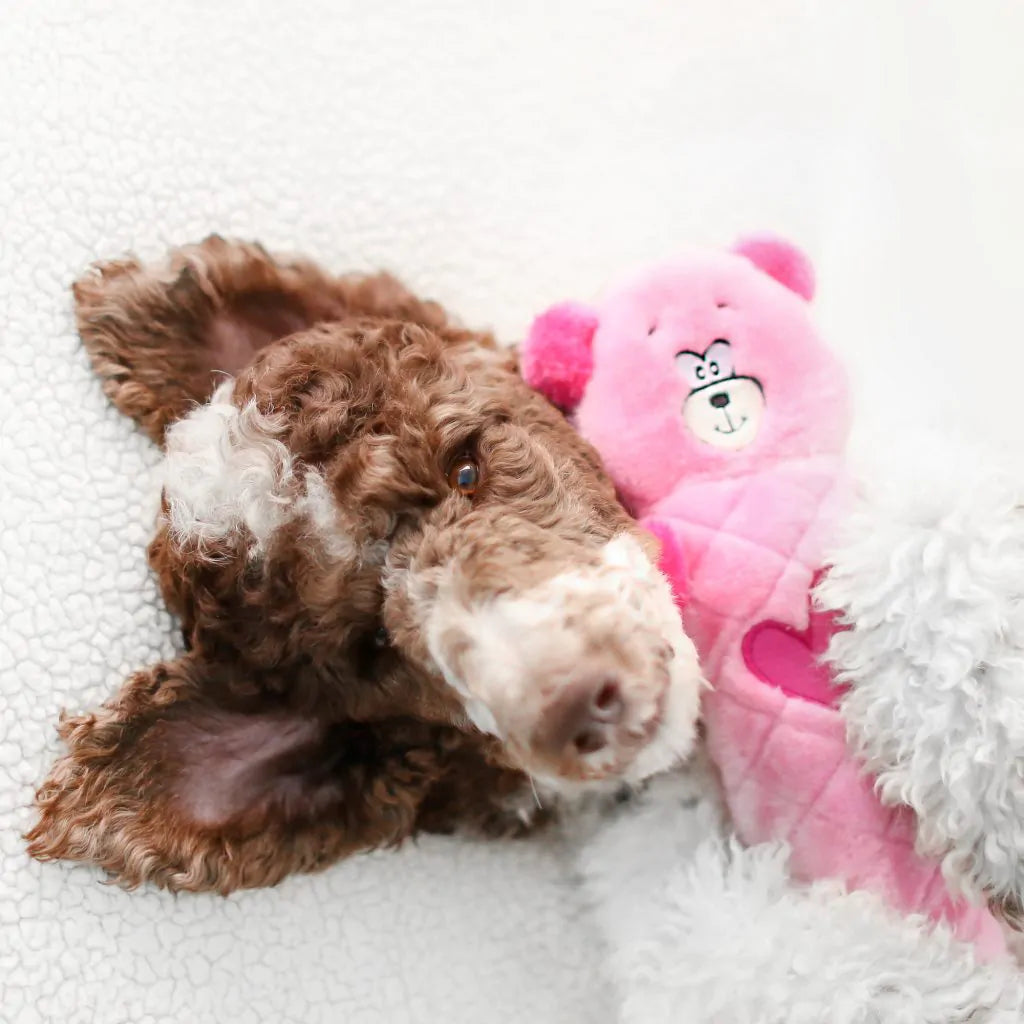 Іграшка рожевий ведмедик Valentine's Jigglerz® Pink Bear ZippyPaws