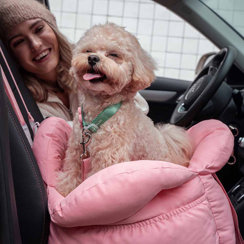 Автокрісло-переноска Flora Car Seat Pet Carrier Vetreska