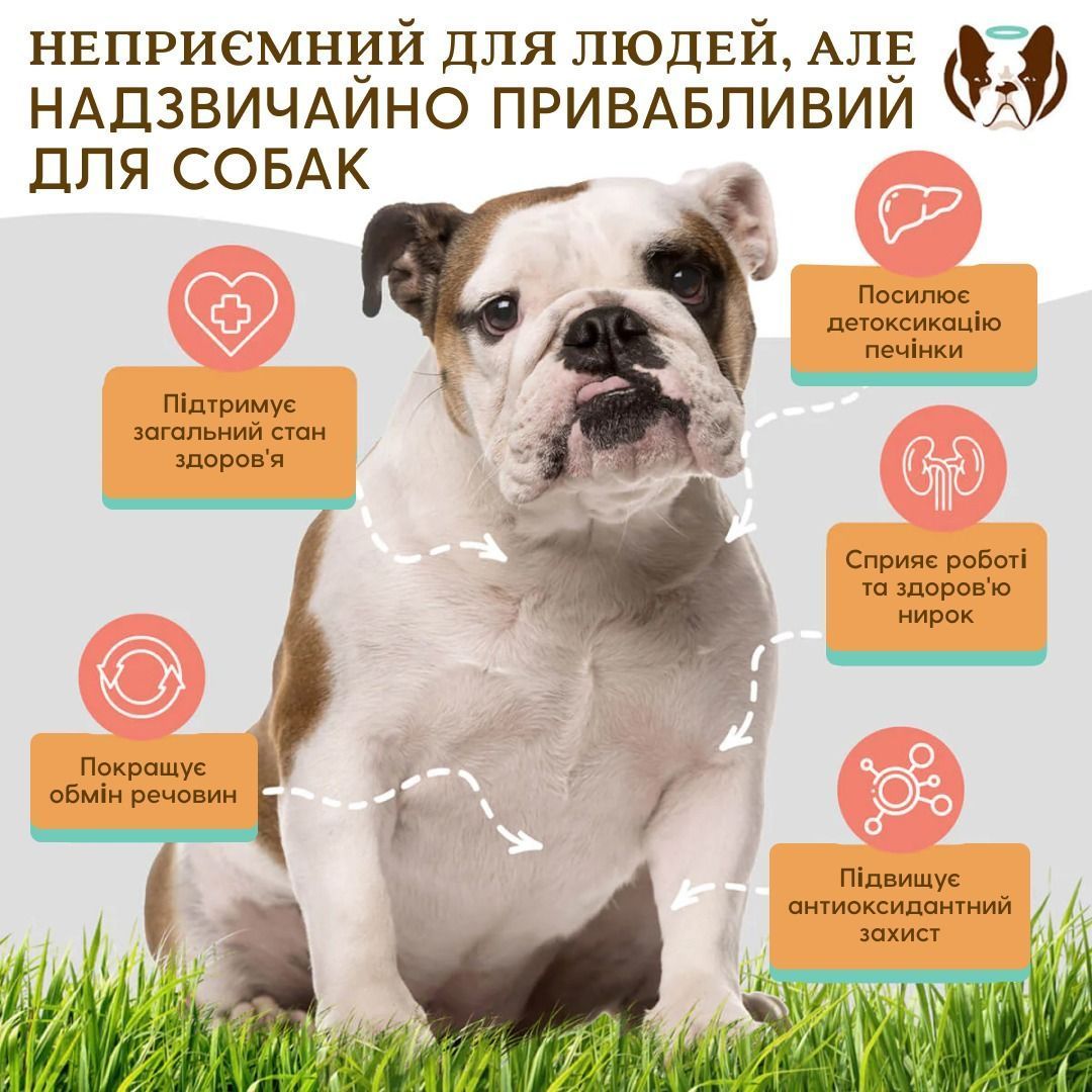 Вітамінний комплекс для печінки та нирок Liver & Kidney Supplement Natural Dog Company 90шт