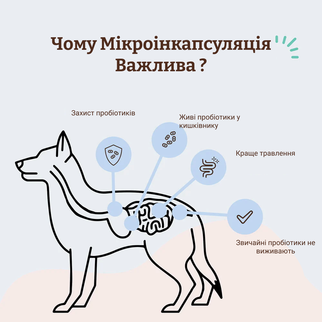Вітамінний комплекс з пробіотиком SuperFlora Probiotic Natural Dog Company 45шт