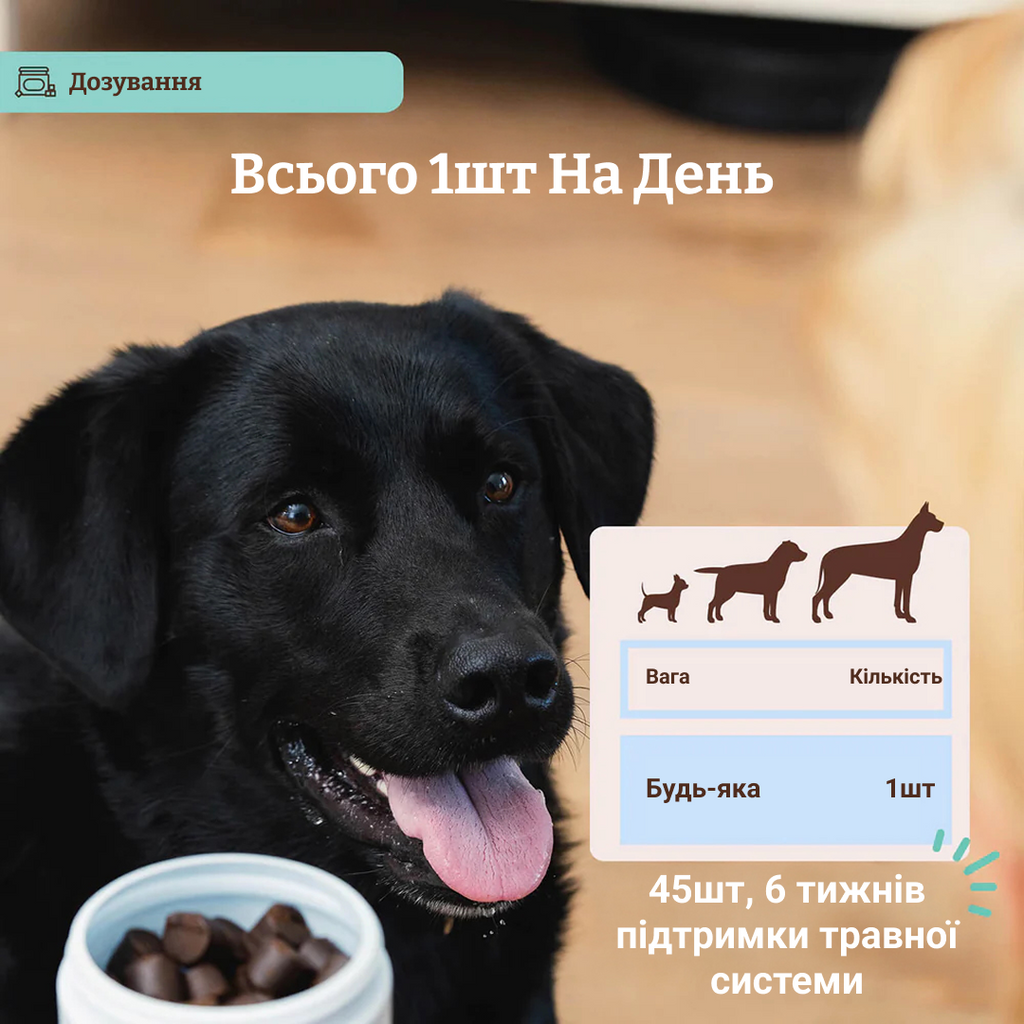 Вітамінний комплекс з пробіотиком SuperFlora Probiotic Natural Dog Company 45шт