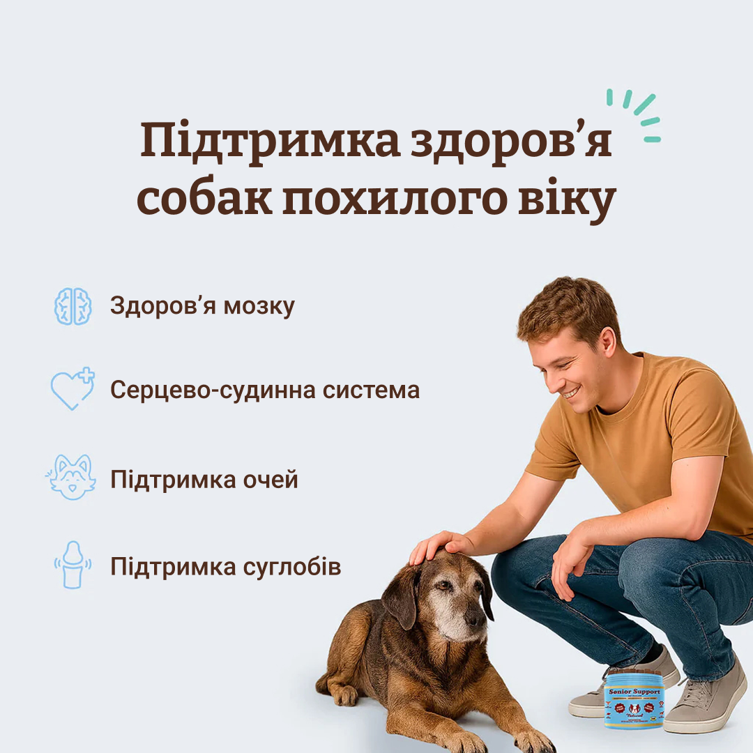 Вітаміни для собак похилого віку Natural Dog Company Senior Support 90шт