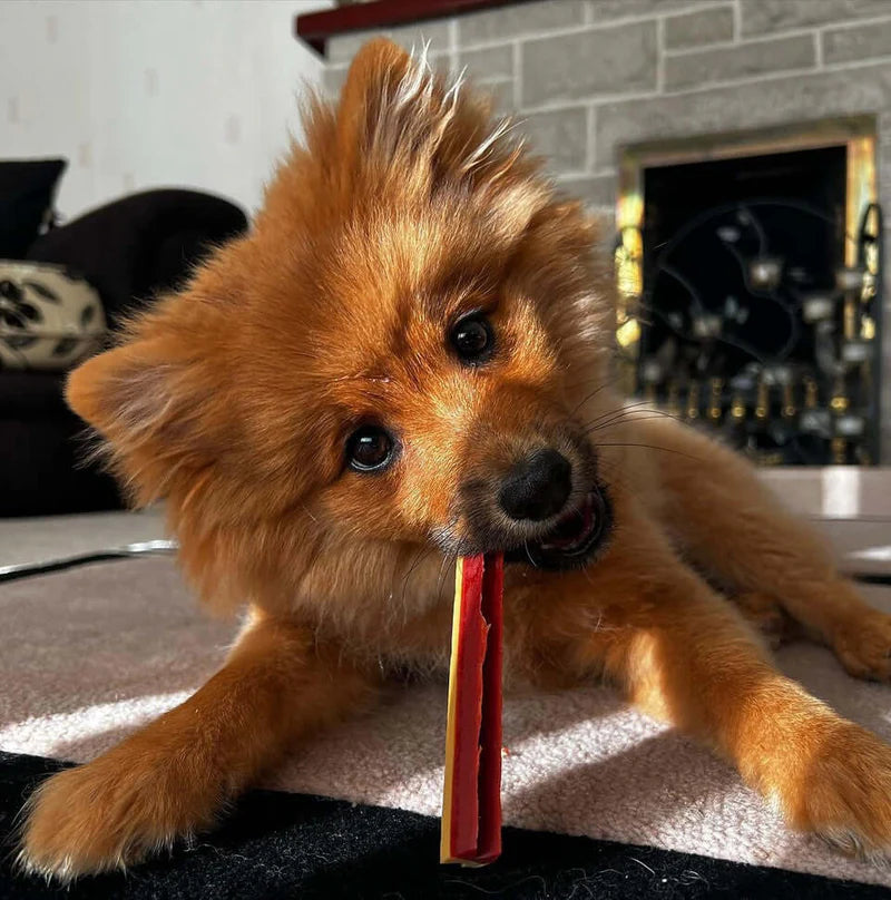 Веганські зубні ласощі для собак з гарбузом та солодкою картоплею Dental Smoky Fang W'ZIS