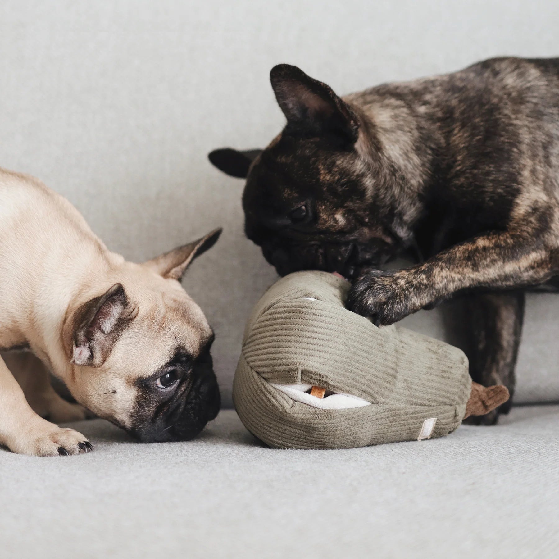 Пошукова іграшка BUTTERNUT lambwolf collective