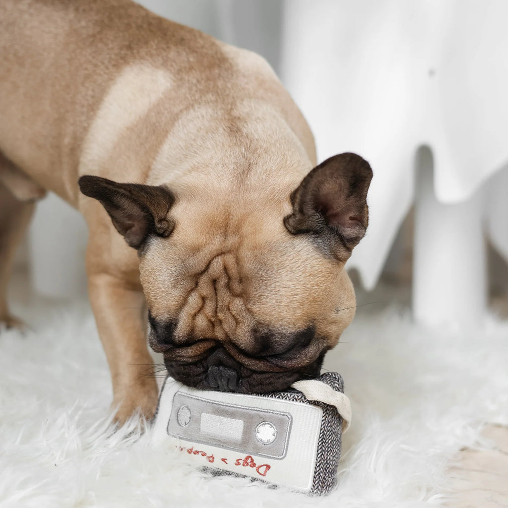 Пошукова іграшка CASSETTE lambwolf collective