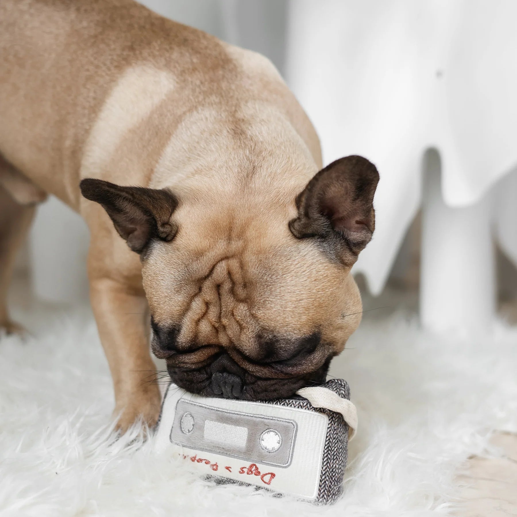 Пошукова іграшка CASSETTE lambwolf collective