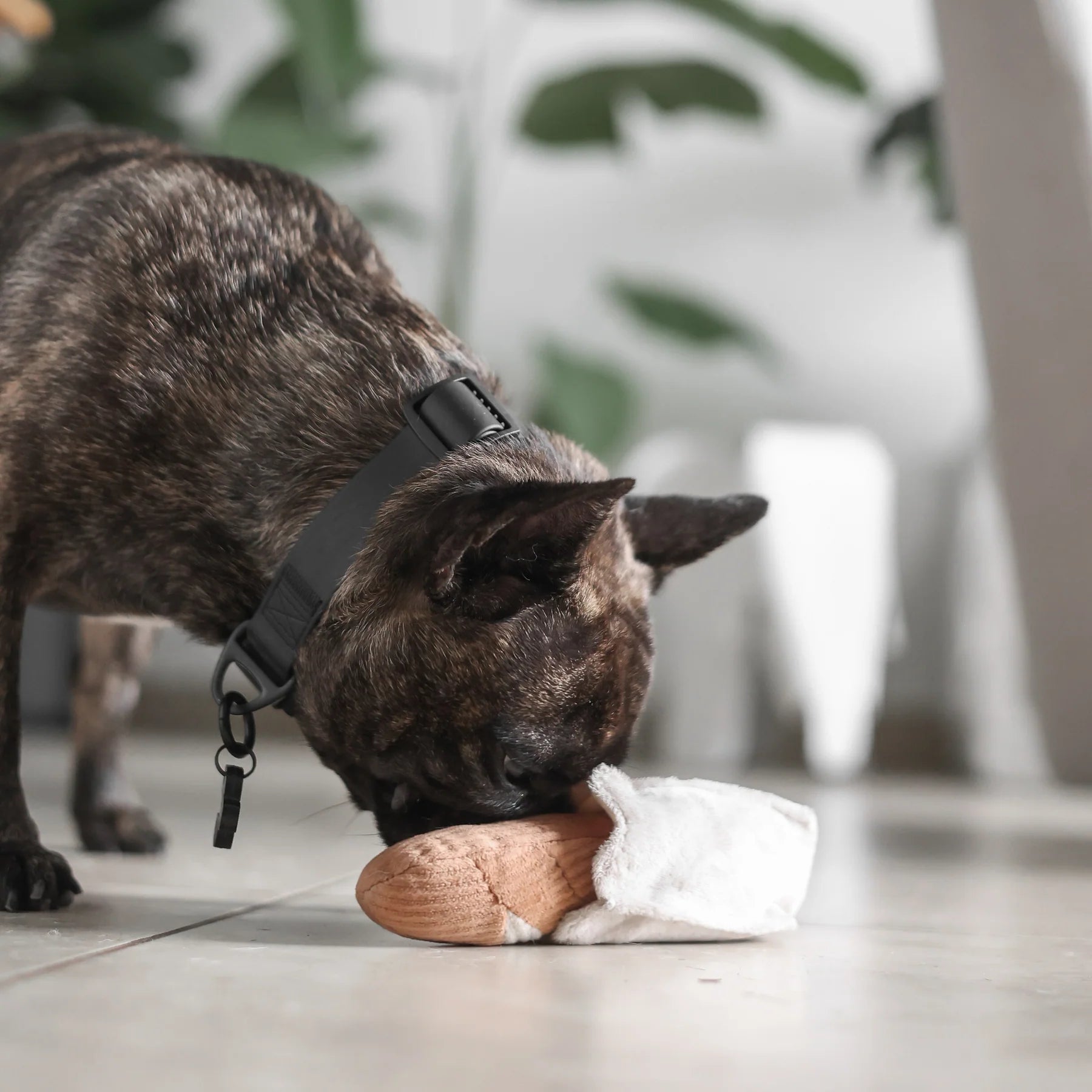 Пошукова іграшка Mini Baguette lambwolf collective