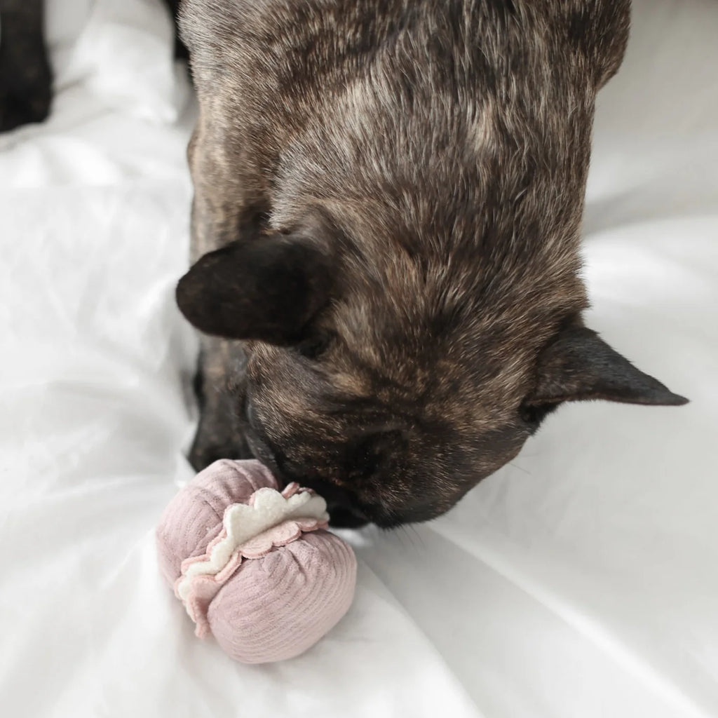 Пошукова іграшка PETITE TWO lambwolf collective