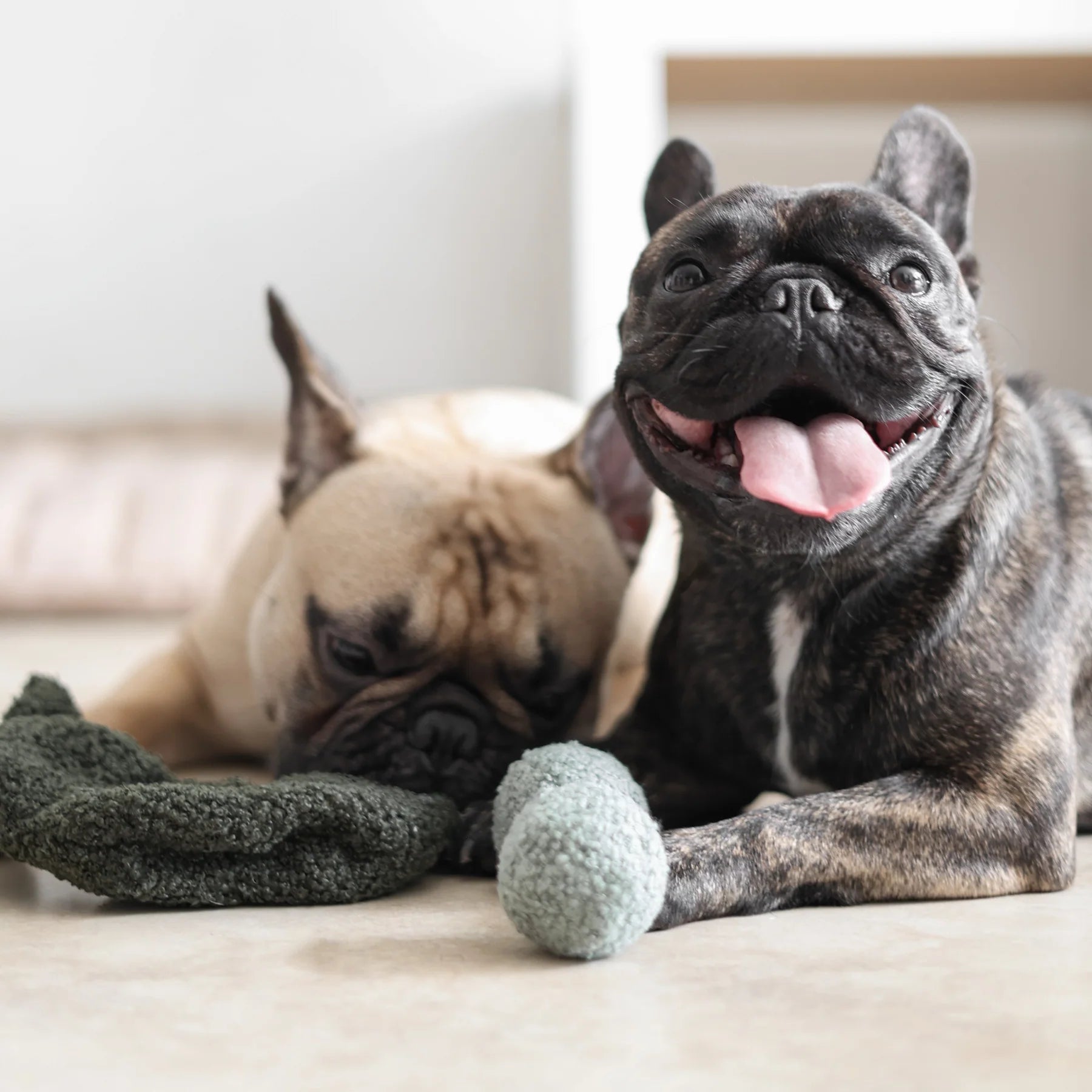 Пошукова іграшка PEA POP lambwolf collective