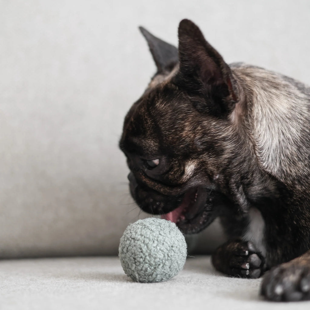 Пошукова іграшка PEA POP lambwolf collective