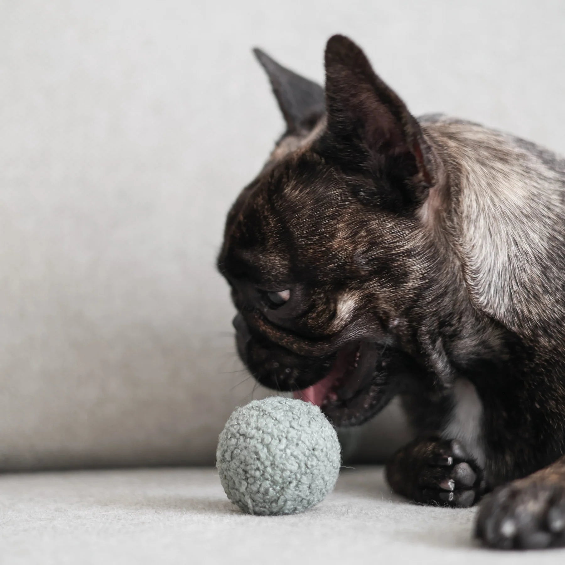 Пошукова іграшка PEA POP lambwolf collective