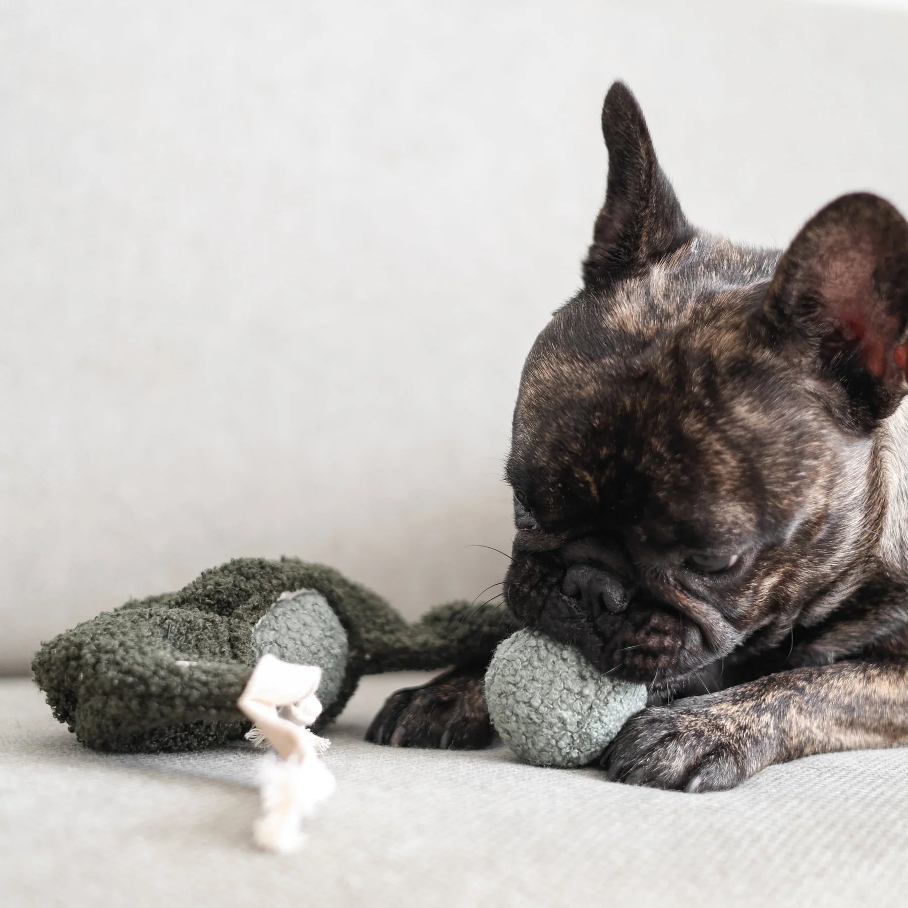 Пошукова іграшка PEA POP lambwolf collective